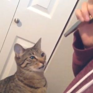 Meet your Posher, Jennie